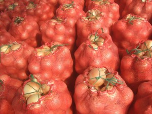 Elementos para embalaje de productos en polipropileno (PP) y fibras naturales.